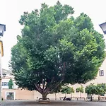 Alohamundi Escuelas Pias