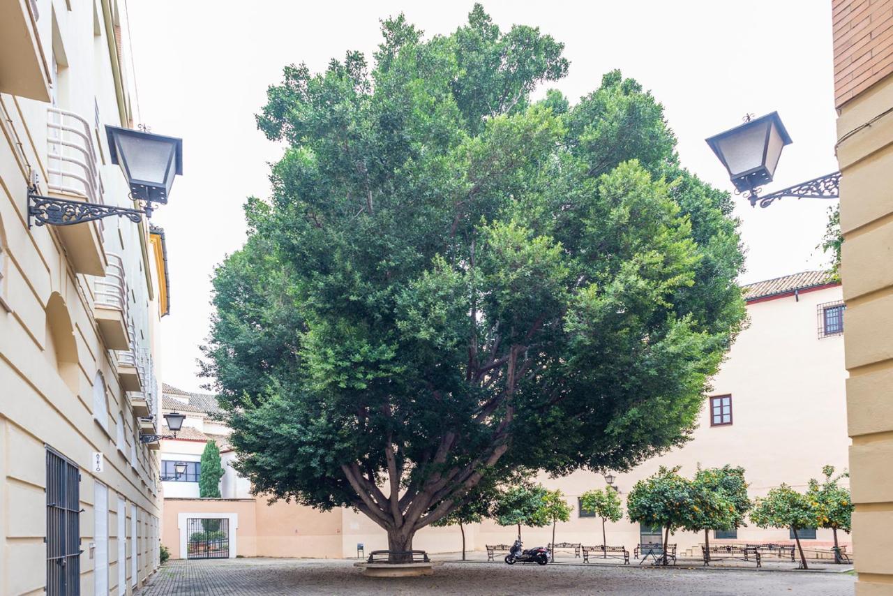 Alohamundi Escuelas Pias Appartement